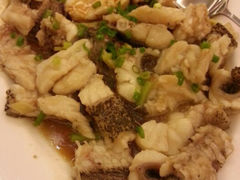 android_upload_pic-五谷芳乳鸽王（大梅沙总店C区）(网红打卡店)