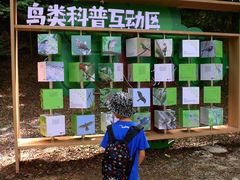 -上海佘山国家森林公园天马山园