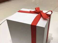 -BLACKSWAN黑天鹅(环球店)
