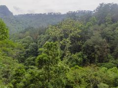 -九曲溪竹筏码头