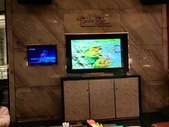 -堂会(缤缤店)
