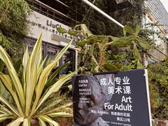 -六出私塾LiuChu•成人美术书法系统课程专业画室(熊婆婆的花园店)