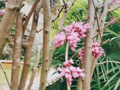 -汇雅温泉