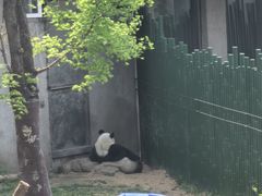 -沈阳森林动物园