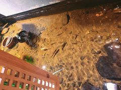 -邈墨茶馆(凤起路店)