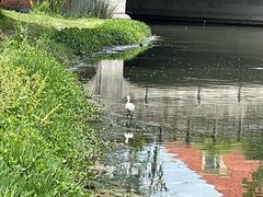 -美兰湖景区