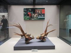 -天津自然博物馆