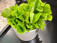 -八合里潮汕鲜牛肉火锅(上海汇智广场店)