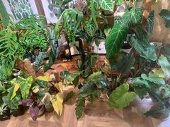 -Rabbit Cafe私房西餐甜点咖啡(栖霞路店)