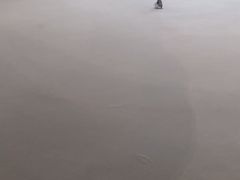 -陈露国际冰上中心(天津嘉里汇店)