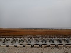 -上海南汇嘴大堤酒店