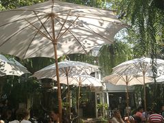 -Fern Forest Cafe