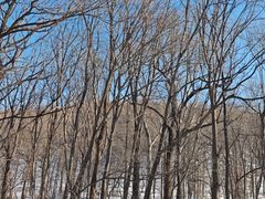 -亚布力新体委滑雪场