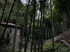-莫干山风景区
