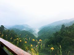 -南昆山十字水生态度假村