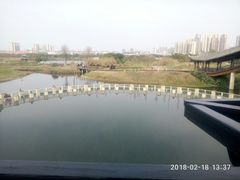 -眉山湿地公园(东坡区)
