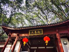 -上海佘山国家森林公园天马山园