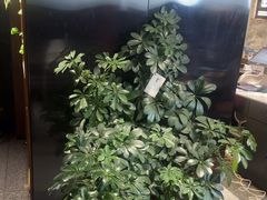 -陈熹公民族美食文化餐厅(中华广场店)