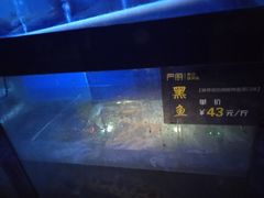 -严厨老坛酸菜鱼(吴江万宝店)