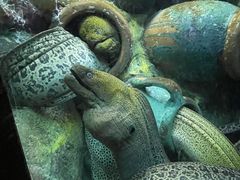 -太平洋海底世界