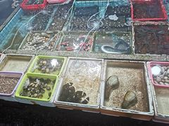 -霞涌市场海鲜摆卖区