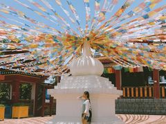 -厦门方特梦幻王国