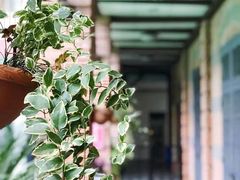 景点-土山湾博物馆