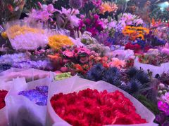 -花鸟鱼虫鲜花绿植市场(玉泉路店)