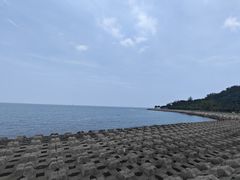 -野狸岛