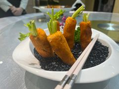 -丁老爷子苏香圆