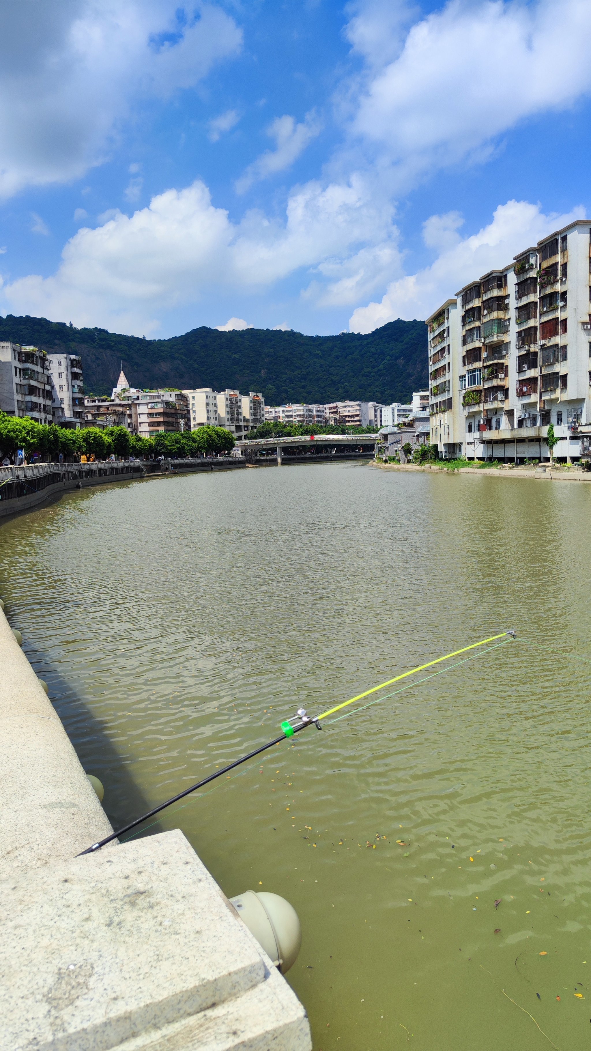 佛山官山涌钓鱼记🎣