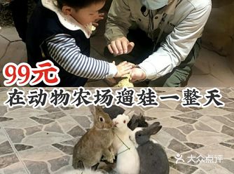 99元在动物农场遛娃一整天