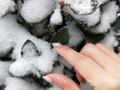 -陕西师范大学(雁塔校区)