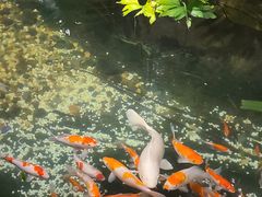 -聚缘堂·海鲜私房菜(松岭路店)