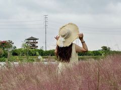 -杭州湾海上花田景区