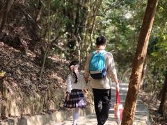 -大屏嶂森林公园
