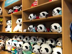 -熊猫屋(宽窄巷子景区店)