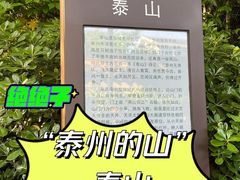 -泰州凤城河风景区-泰山公园