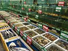 -海岛渔村大酒店(云霄路店)