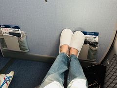 -全日本空输株式会社(上海办事处)