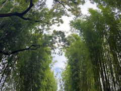 -翠湖公园