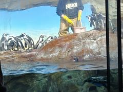 -海合安武汉极地海洋公园