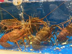 -北塘海鲜·天津菜(大光明桥旗舰店)