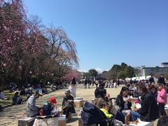 -名古屋城