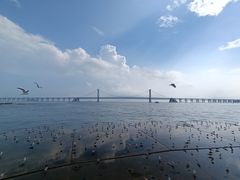 -星海广场