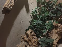 -耳艺采耳·足疗(东圃店)