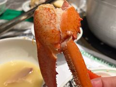 -禄婶鸡煲·打边炉