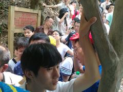 -牛鱼嘴原始生态风景区