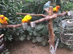 -南宫五洲植物乐园