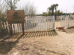 -上海崇明金茂凯悦酒店